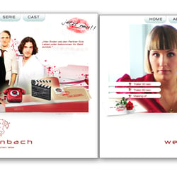 zinario massmann webdesign wasabi wettenbach series flash microsite