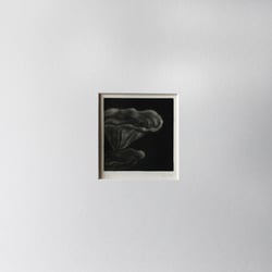 Amorph IV, 2017, Radierung, Mezzotinto, 28,5cm x 30cm