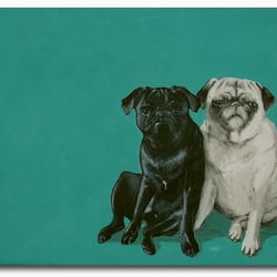Hunde 01