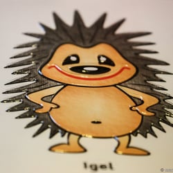 Brailleversion mit Reliefdruck „Der Igel, der seine Stacheln verloren hat!“