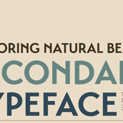 Typeface 02