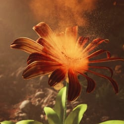 3d flower animation & particle sim