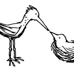 Fürsorge