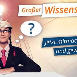 Erstellung eines Facebook-Post für ImmobilienScout24.
