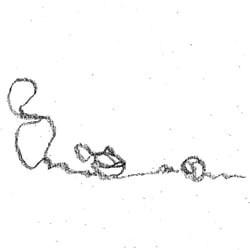 Die Katz