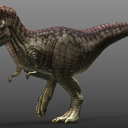 T-Rex wire