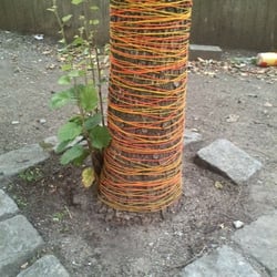 Natur 2012 Bäume 02