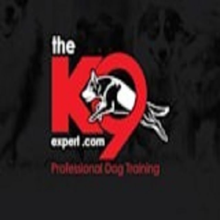 The K9 Expert