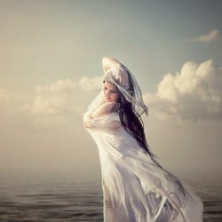 Dream
