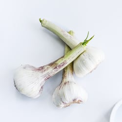 Ihr Restaurant perfekt in Szene gesetzt: Foodfotografie von Gudrun Itt