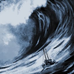 welle repro
