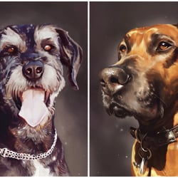 Hundeportraits