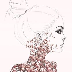 Illustration
