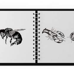 Sketches 2
