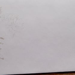 Umschlag-1-Blumen-+-Schrift