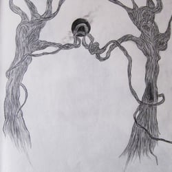Dry Wood