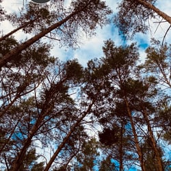 Uckermark / 2022