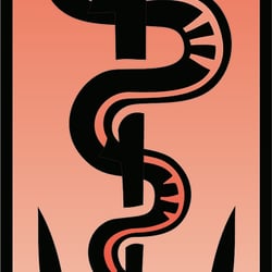 Aesculapius Schlange