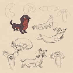 Character Design für meinen Abschlussanimationsfilm