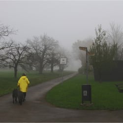 Morgennebel