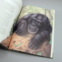 Innenseite aus einem Kindersachbuch über Jane Goodall