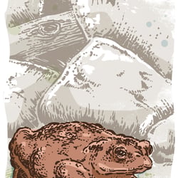 Zeichnung und Collage