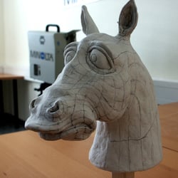 Free hand sculpture / study
