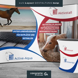 Werbung layout Gestaltung Grafik Print Design Messe Katalog Broschüre Illustration carographic Cottbus Werbeagentur logo