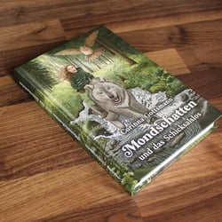 Mondschatten und das Schicksalslos – Buchcover Illustration