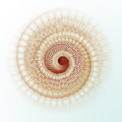 Geometrische Illustration