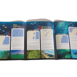 Innenseiten Marine-Expedition.com