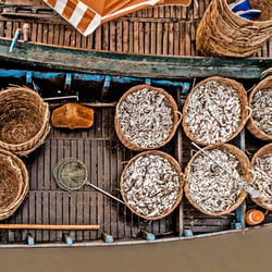 Fish, Kambodscha, Kampong Chhnang