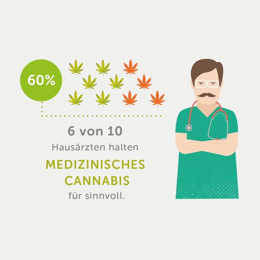 Infografik-Cannabis