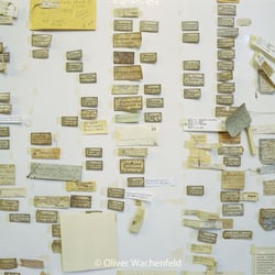 Museale Unterwelt