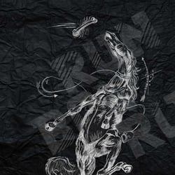 run boy run-by christoph gey