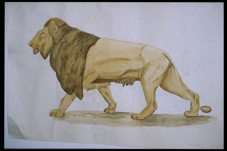 Löwe, (Aquarell, Din A 1)