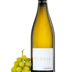 Getraenk Fotografie-65-Wein1