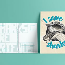 Postkarte zum Buch im Eigenverlag – A Shark A Day – Zeichnungen und Informationen über Haie
