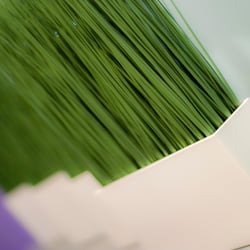 2016-Juni-RadiologieErding-023