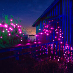 Pink Fireflies