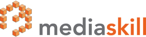 mediaskill