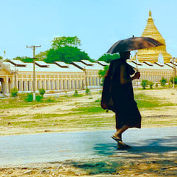 The Monk