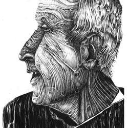 Matteo