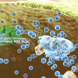 3D-Animation Pharma: antibakterieller Wirkmechanismus II