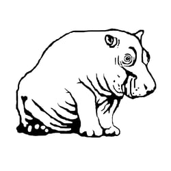 babyhippo