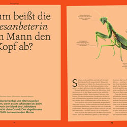 „Gottesanbeterin“ (Wohllebens Welt)