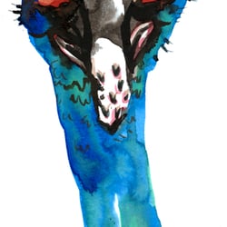 Bird