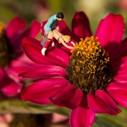 3—Sexy Flowers
