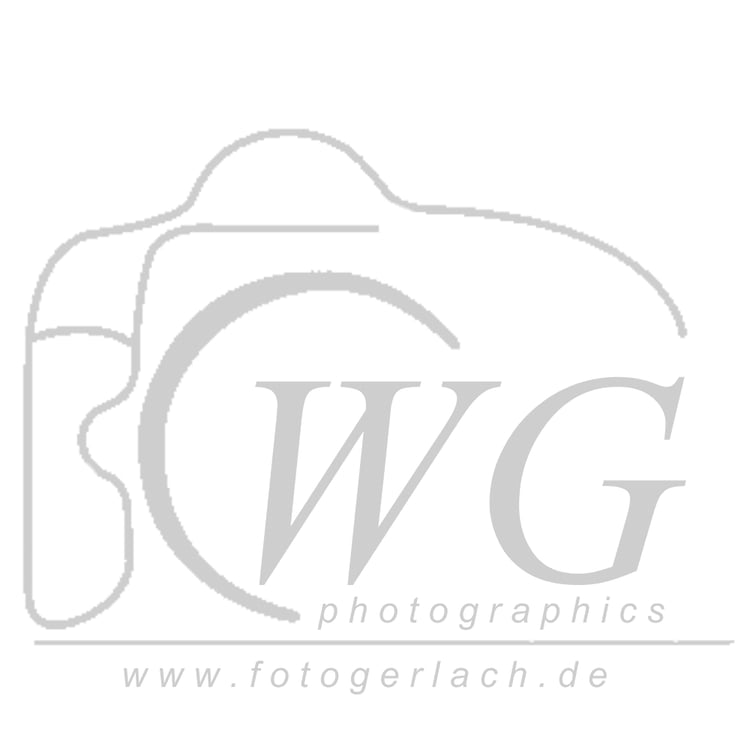 Wolfgang Gerlach