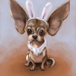 Bunny